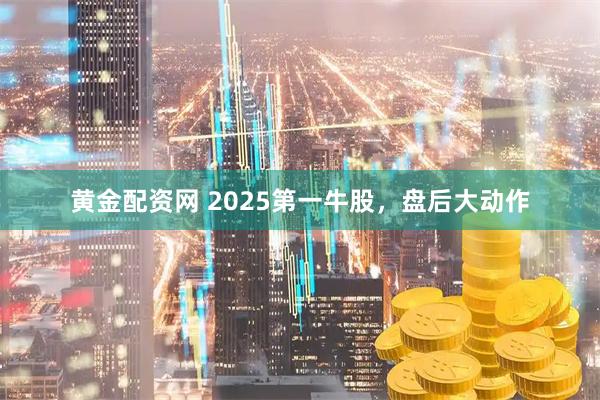 黄金配资网 2025第一牛股，盘后大动作