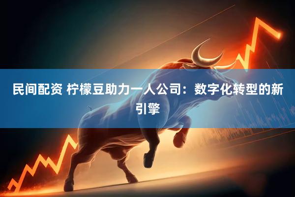 民间配资 柠檬豆助力一人公司：数字化转型的新引擎